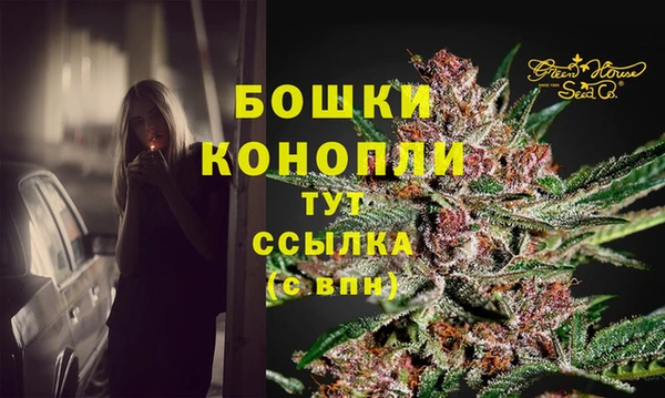СК Медвежьегорск