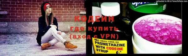 шишки Мегион