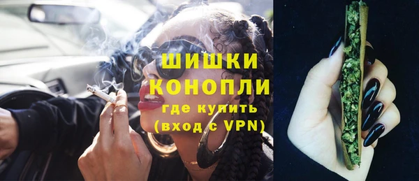 индика Тутаев