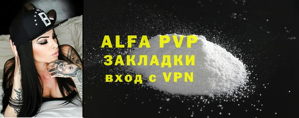 индика Переславль-Залесский