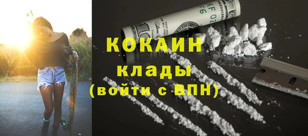 шишки Мегион