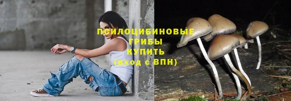 шишки Мегион