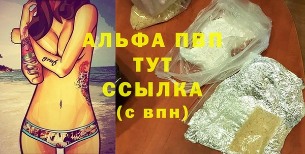 СК Медвежьегорск