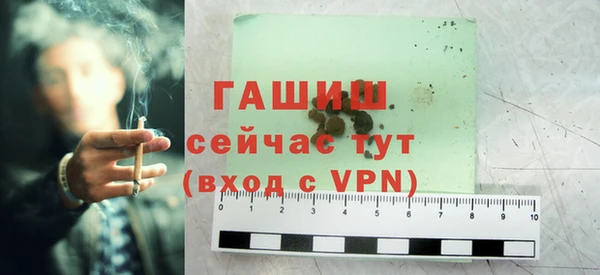 шишки Мегион
