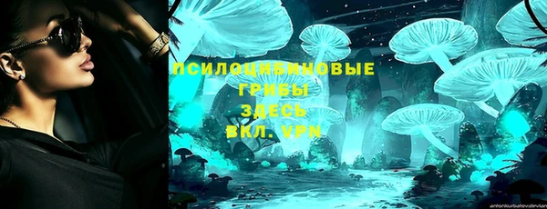 спиды Магас