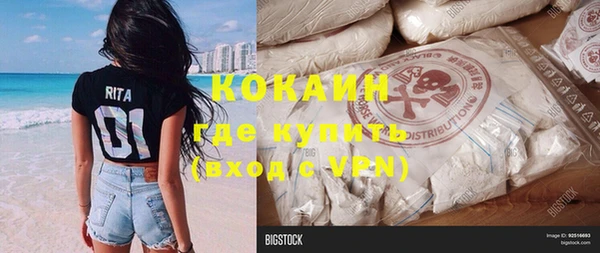шишки Мегион