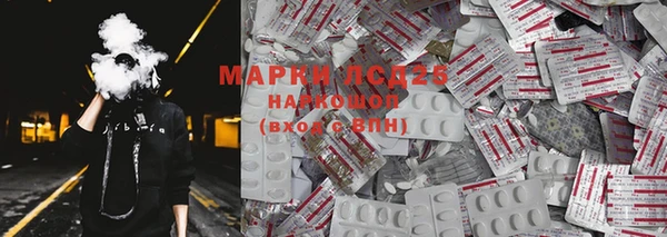шишки Мегион