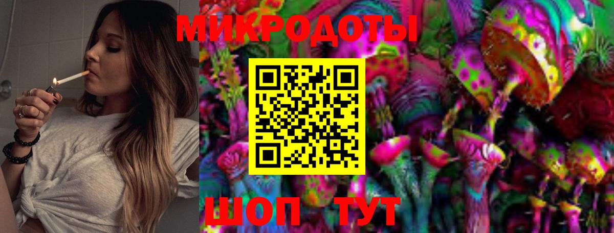 Псилоцибиновые грибы Cubensis Строитель