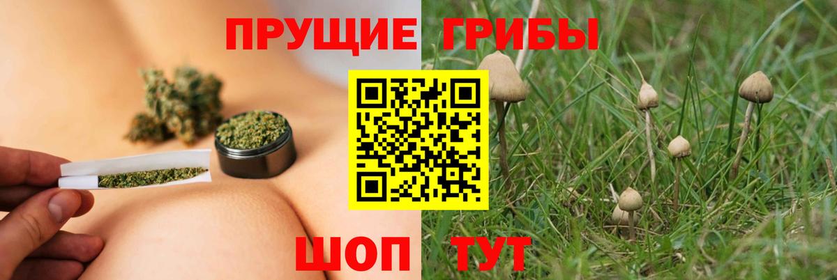 Строитель  Галлюциногенные грибы Magic Shrooms  Вход с VPN  Галлюциногенные грибы Magic Shrooms 