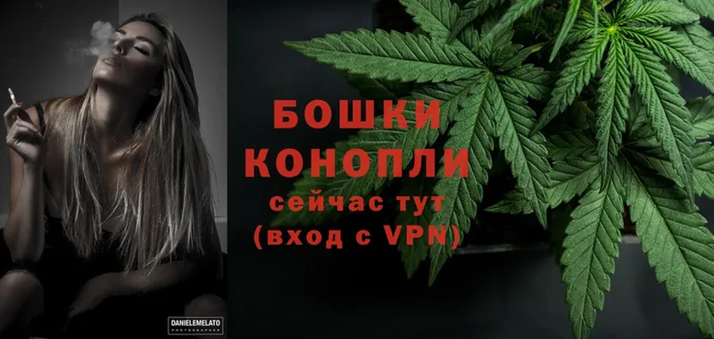 blacksprut ССЫЛКА  Строитель  Каннабис Amnesia 